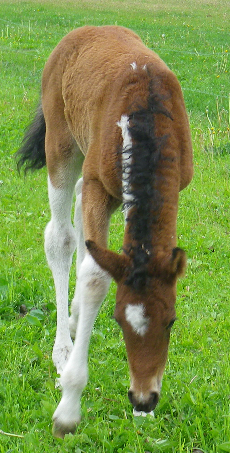 Izzy june 6 front.jpg